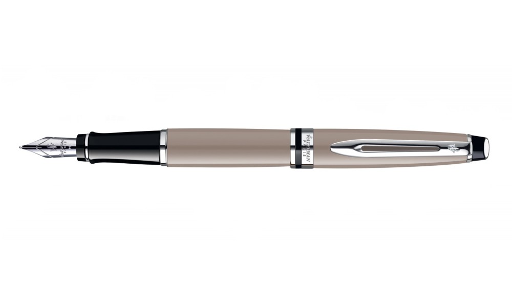 WATERMAN EXPERT STILOGRAFICA TAUPE CT